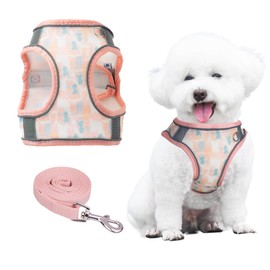 PawSailor Extra Small Dog Harness with Lead, Step-In Air Mesh Floral Print, No Pull, Vest, Adjustable, Reflective, Soft Padded, Escape Proof, Pet Harness, Coral, XXXS