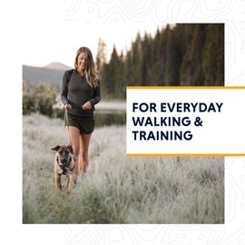 Ruffwear All-Day Dog Front Range Harness, Grey (Twilight Grey), XS