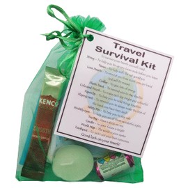 Travel Survival Kit - Novelty travel gift, gift for travelling, travel gift, gap year