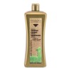 Salerm Biokera Shampoo Argan 1lt Ideal Cabellos Dañados