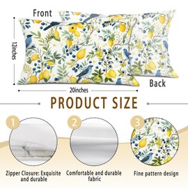 Qykwz Farmhouse Lemon Blue Bird Lumbar Pillow Cover 12x20