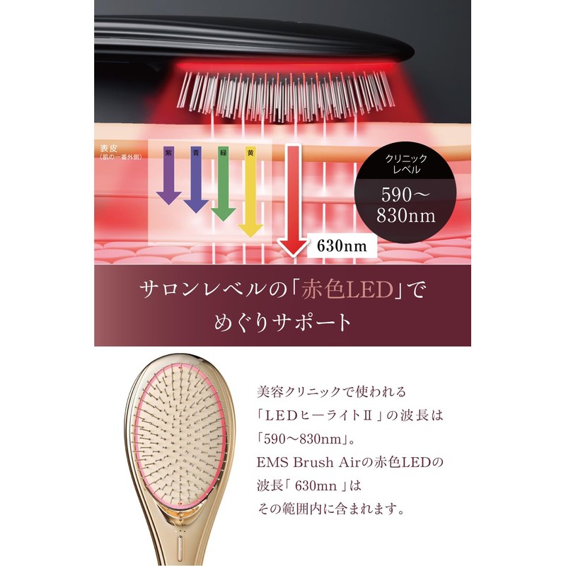 Introduced in "Petit Branch" Wavewave Wave EMS Airbrush Hair Brush