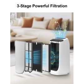 XD6065 & XD6075 Replacement Filter, Compatible with Rowenta PU4020 Intense Pure Air Purifier, also fits PU4010 PU4015 PU4025, Part # XD6074U0 XD6075 XD6070 XD6060 XD6065