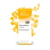 Pascoe Pascolibrin Drops: for Mood Enhancement - for Nervous Disorders