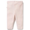 Wilson & Frenchy Organic Stripe Rib Legging - Cantaloupe, 00000