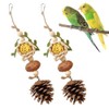 2PCS Chew Toys for Parrots, Natural Pine Cones & Rattan