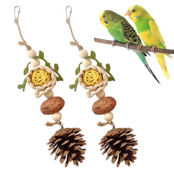 2PCS Chew Toys for Parrots, Natural Pine Cones & Rattan