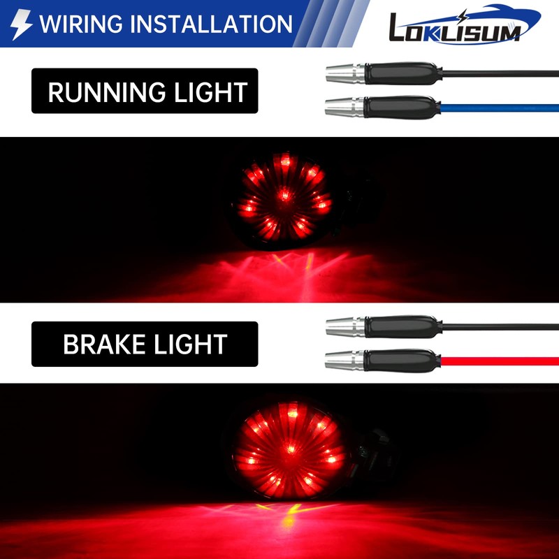 LOKLISUM 8 LED Mini Motorcycle Tail Light Brake Tail Light
