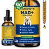 NAD+ Longevity Supplement for Senior Dogs, Vitality, Cognitive Health, 60ML