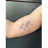 4 Sheets of Long-Lasting Compass Tattoos World Tattoos Semi-Permanent Tattoos