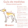 3 Point Harness Anti Pull Ideal for Libreles: Italian Greyhound