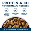 Purina ONE Plus Large Breed Adult Dog Food Dry Formula,