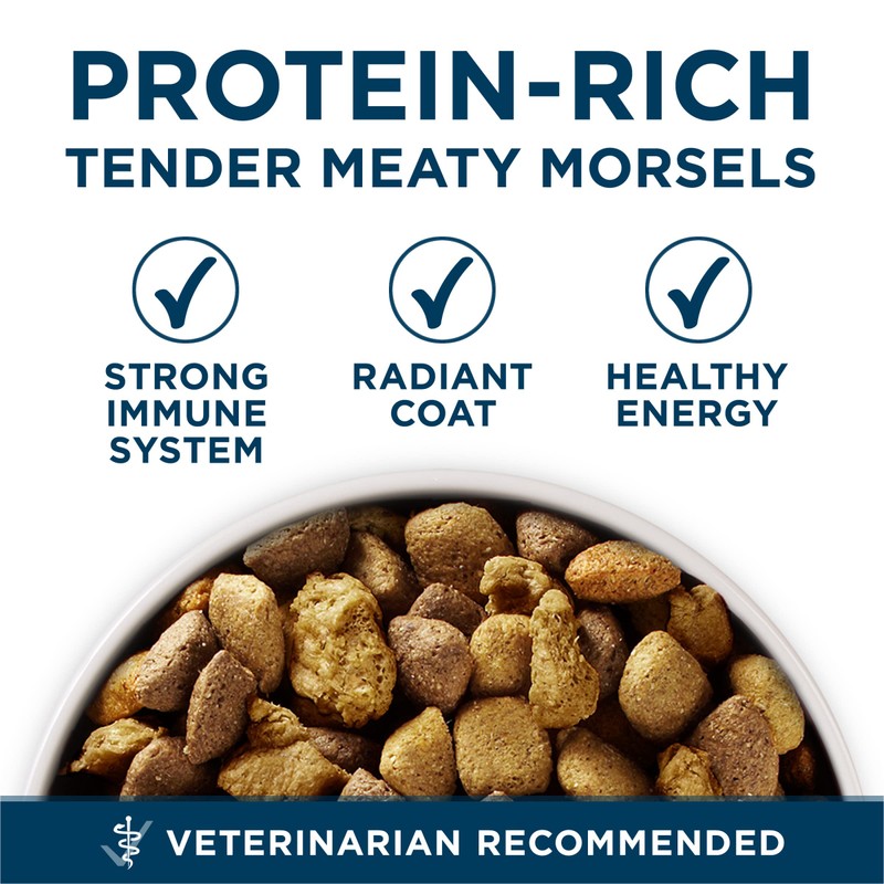 Purina ONE Plus Large Breed Adult Dog Food Dry Formula,