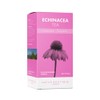 Organic Echinacea Tea 20 teabags, Pack of 6 (120 teabags)