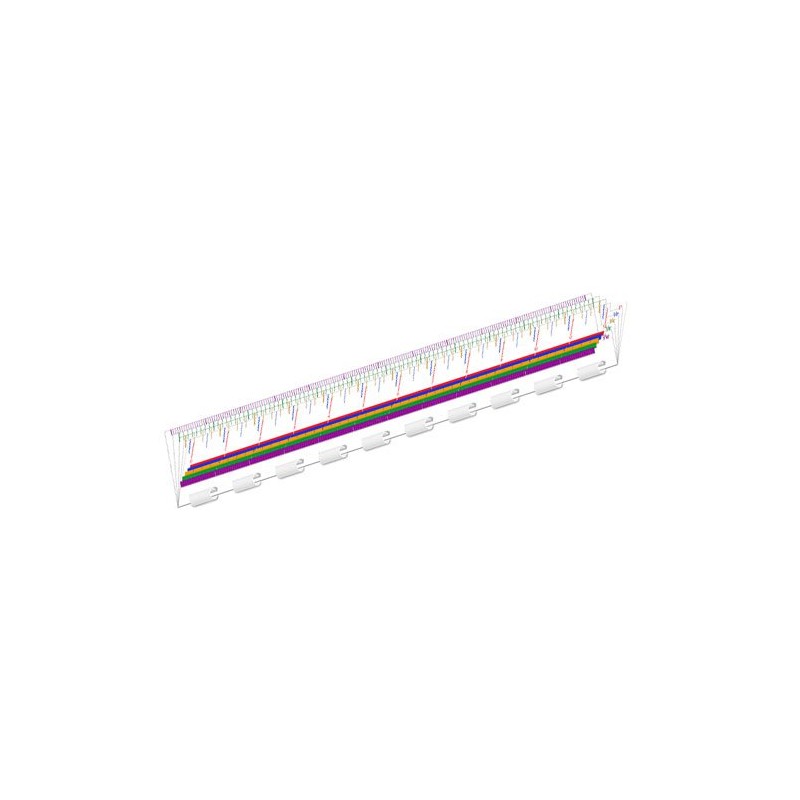 EAI Education The Master® Fraction Ruler