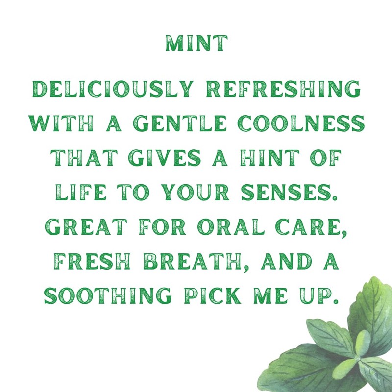 Flower & Song Chilcuague Natural Oral Spray (Mint)