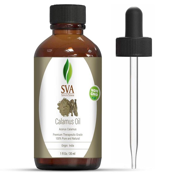 SVA Calamus Essential Oil 1 Oz 100% Pure Natural Premium Therapeutic Grade with Dropper for Diffuser, Aromatherapy, Skin, Hair & Massage 1 Ounce