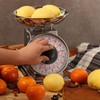 Tada 2 Pound Precise Portions Analog Food Scale 32 Ounces