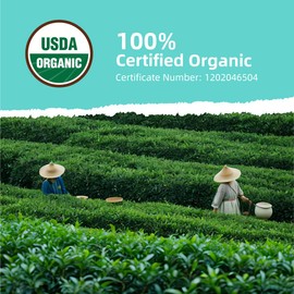 Essencesip Ripe Puerh Tea Loose Leaf, 4oz Tin – Aged Fermented Organic pu-erh Tea with Earthy Richness, Smooth Mellow Finish, Crafted for Hot Brewing