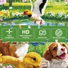 2 Pack 500 Piece Puzzle for Adults, Birds Dogs Jigsaw