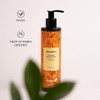 Ebers Sulphate-free repair shampoo 250 ml (biotin and horsetail) colour