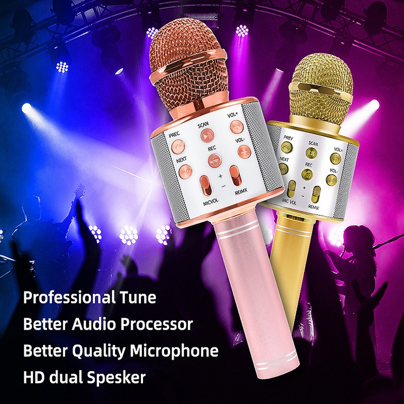 Professional BT Wireless Microphone Karaoke Speaker KTV Music Player Singing