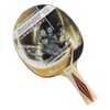 DONIC Top Team 300 Table Tennis Bat