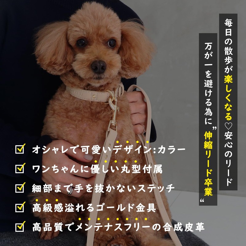 LOARFAM Dog Leash Dog Leash Dog Leash Dog Leash Dog