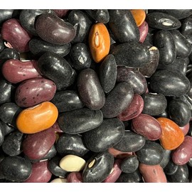 Ayocote Pinto Bean Frijolón Heirloom Seeds for Planting Packet