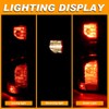 Nakuuly Tail Light Halogen Type Compatible With 2019 2020 2021