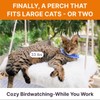 Large Cat Window Perch with Industrial-Grade Suction Cups - Solid