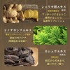 Seika All Shampoo and Conditioner ZEN [Fresh Green Leaf and