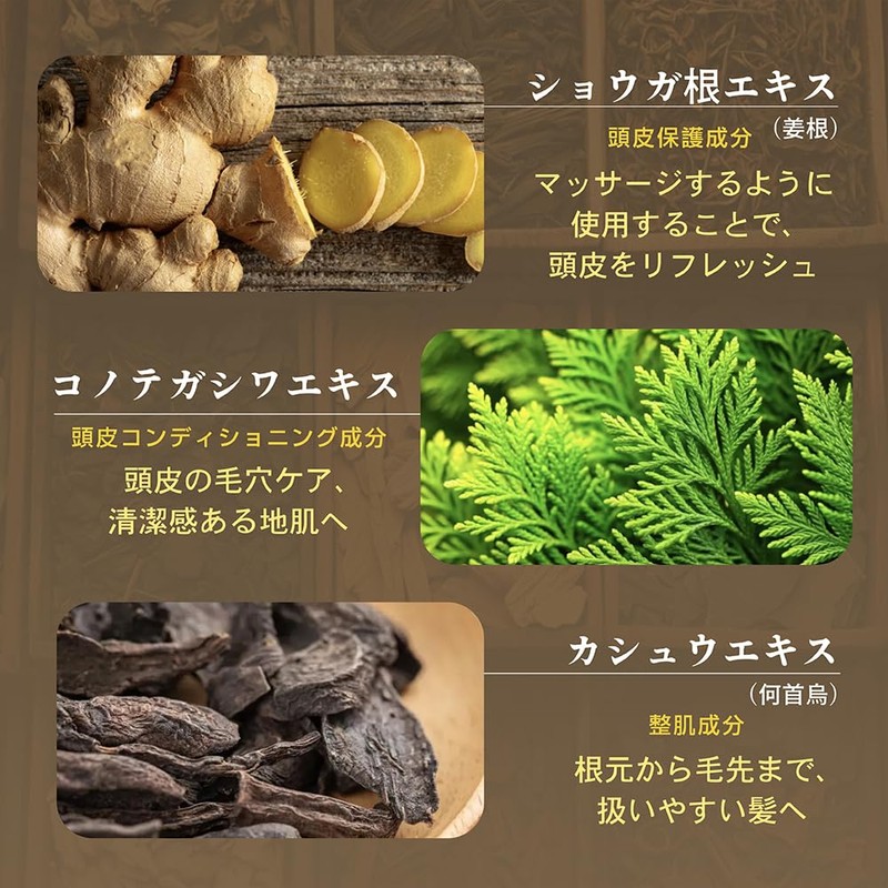 Seika All Shampoo and Conditioner ZEN [Fresh Green Leaf and