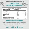 Creatina Monohidratada Micronizada Pura En Polvo 450gr Sabor Sin sabor