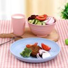 12pcs Plastic Wheat Straw Dinnerware Sets, Wheat Straw Plates and