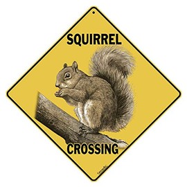 CROSSWALKS Squirrel Crossing 12" X 12" Aluminum Sign (X315)