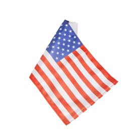 American Flag US Flag Replacement 6" x 9" for Harley Motorcycle 3/8" Flag Mount Poles(Also Suitable for Garden Flag Banner,Bar,Party Decorations,Sports Clubs etc)