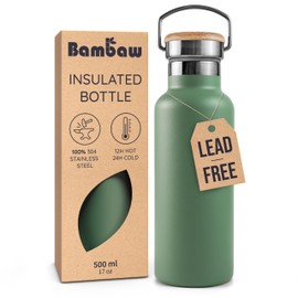 Bambaw Insulated 16 oz Stainless Steel Water Bottle with Handle - Green Travel Bottle