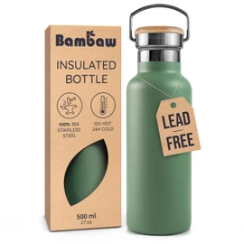 Bambaw Insulated 16 oz Stainless Steel Water Bottle with Handle - Green Travel Bottle