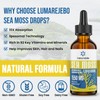 Liposomal Irish Sea Moss Drops 1550MG, with Burdock Root and