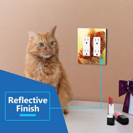 LIDER Double Decorator Wall Plate, Impact Resistant, Mirrored Acrylic, Plexiglass, Reflective Finish, Modern Upgrade, Screwless Light Switch/Outlet Cover, Mid-Size 2-Gang 4.88" x 4.92", Acrylic Gold