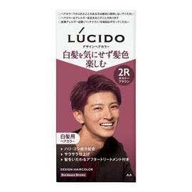 LUCIDO (Quasi-drug) Hair Color, Bordeaux Brown, Gray Hair Dye for Men, Cream Type, Bright Hair Color Enjoyable Without Worrying About Gray Hair