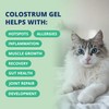 Under the Wether Colostrum Gel for Cats Immune Support Supplement