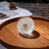 1st Heaven Real Dandelion in Glass, Eternal Dandelion Wishing Ball