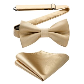 HISDERN beige Bow Tie for Men Pre-tied Wedding Formal Tuxedo Bowtie Classic Handkerchief Set Adjustable