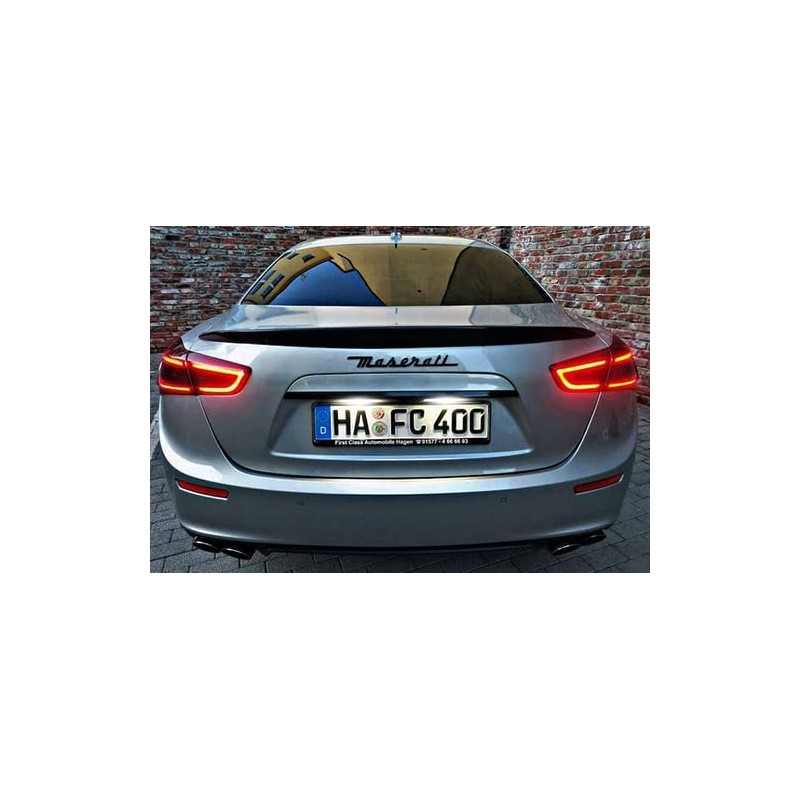 RZG 2x LED Licence Number Plate Light White Canbus For