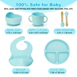 Velvet Lullaby Baby Feeding Set - Silicone Bib, Suction Plate, Bowl, Fork, and Spoon - BPA-Free and Dishwasher Safe (Petal Pink)