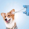 HighFitt AZN Fishing Forceps Dog Hemostat Forceps Scissors Ear Hairs
