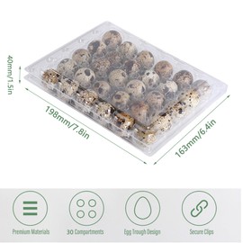 QIUMING Quail Egg Boxes, 30 Grids, Quail Egg Boxes, Transparent Quail Egg Boxes, Quail Egg Boxes, Quail Eggs, Scissors for Small Eggs, Quail Pheasant (30 Grids)