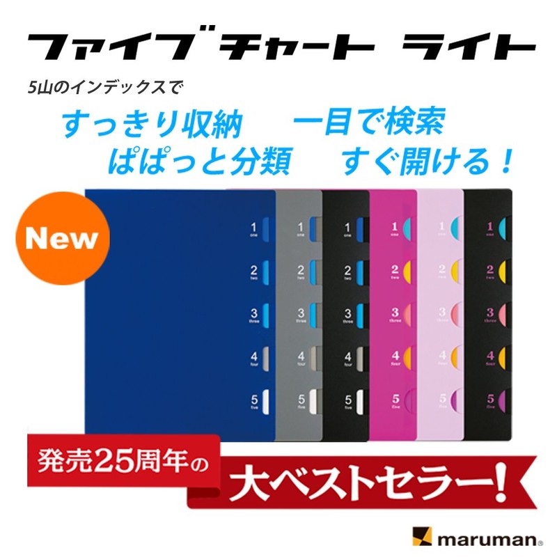 マルマン ルーズリーフ バインダー B5 ファイブチャート 26穴 パープル F116-10